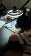 Tattoo Apprenticeship Course