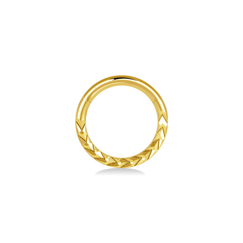Titanium Ear Piercing Jewellery Main image